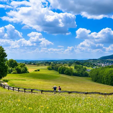 Horizons Du Bas - Pmr De Plain-pied * Niederbronn-les-Bains